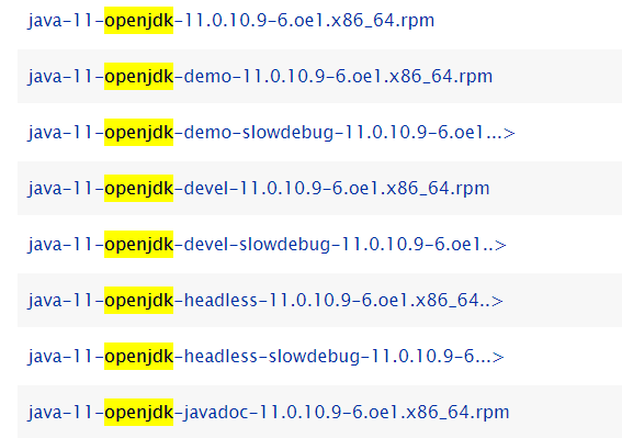 image-openEuler-everything-jdk11